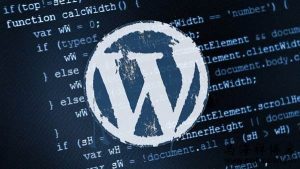 WordPress 最新彻底删除  后台站点健康状态面板的方法代码分享|紫咖啡小站