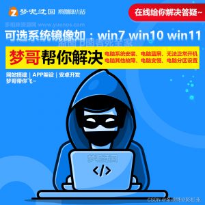粉丝专属在线定制PE系统启动盘U盘启动盘安装|紫咖啡小站